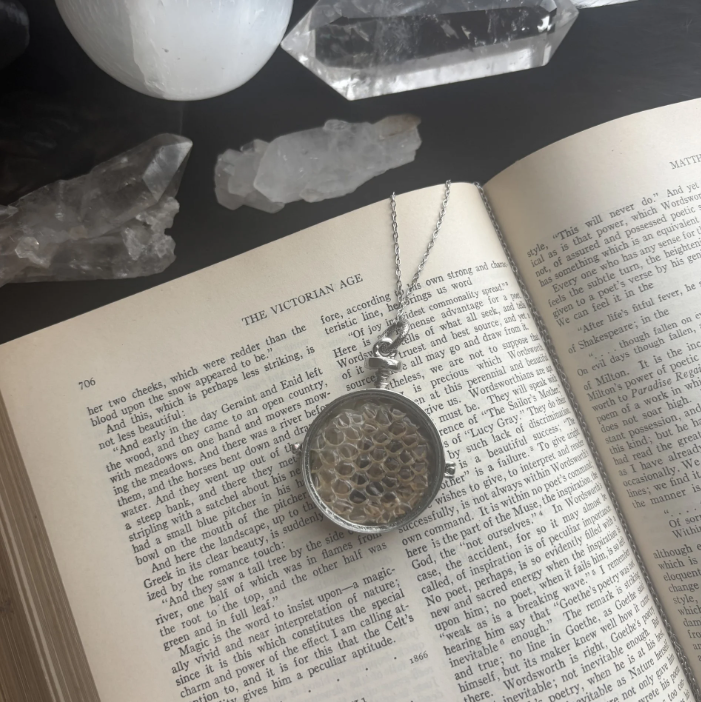 Serpentine Curiosity Locket