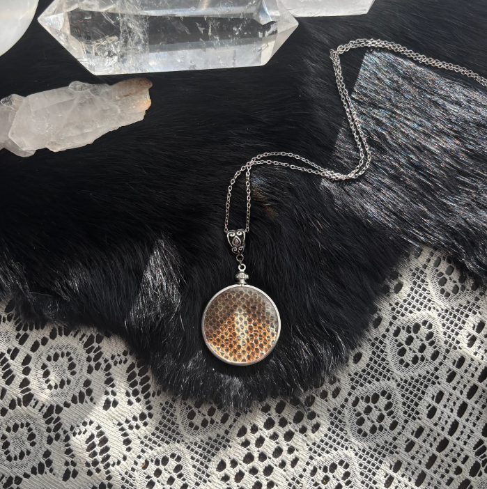 Snake Shed - Eye Pattern