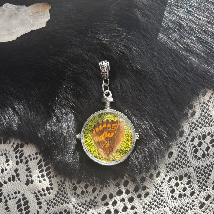 Lg Curiosity Locket II