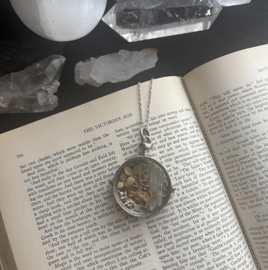 Serpentine Curiosity Locket