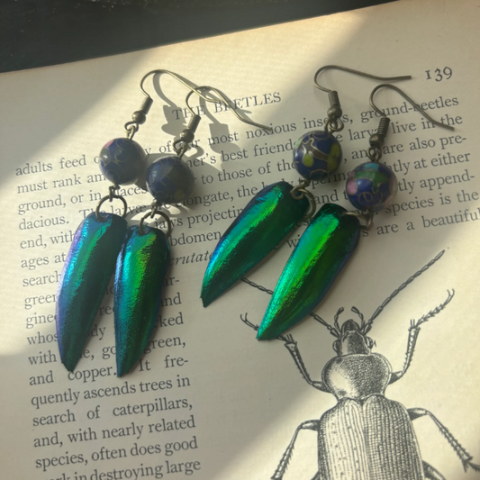 Cloisonné & Elytra Wing Earrings