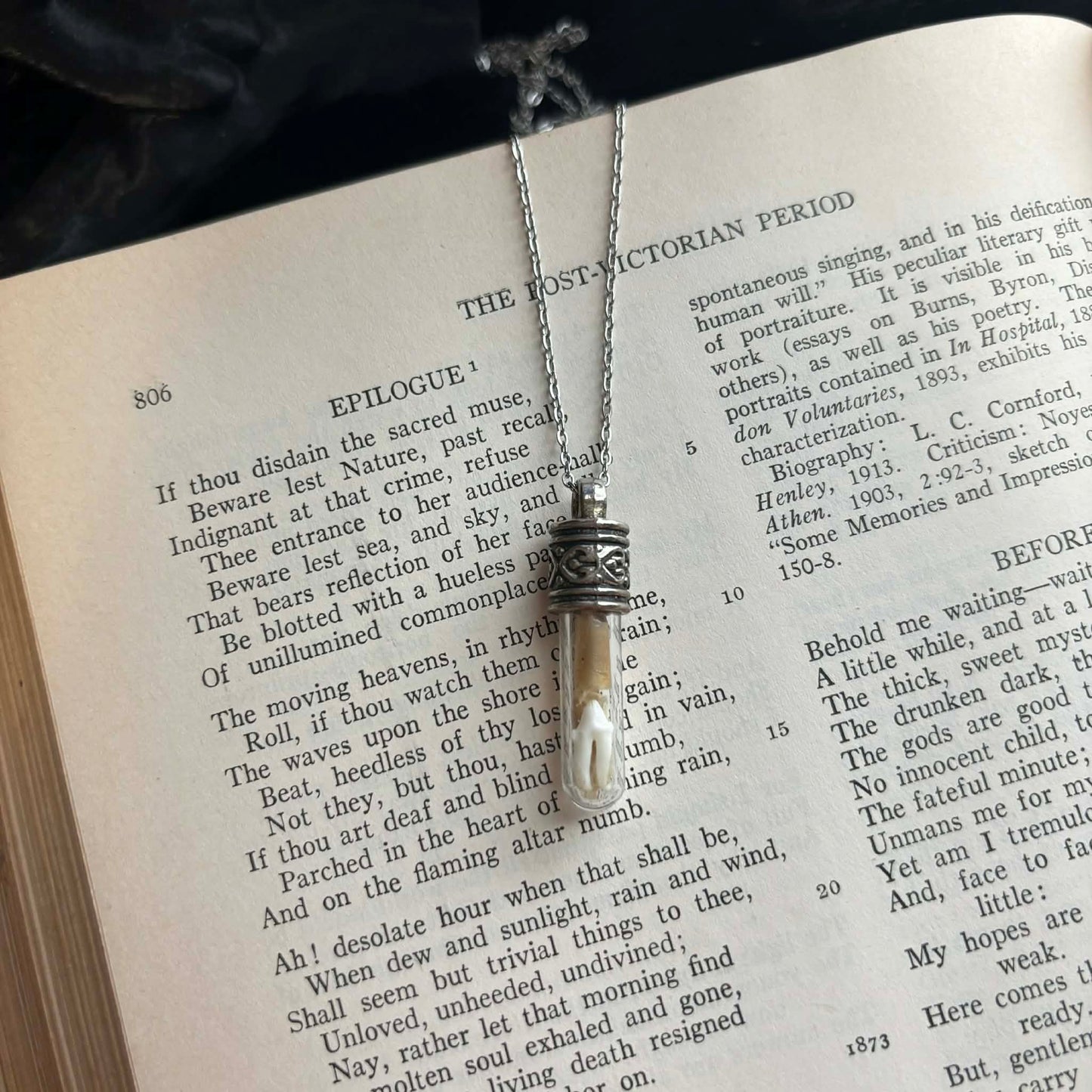 Snake Shed & Tooth Vial Necklace