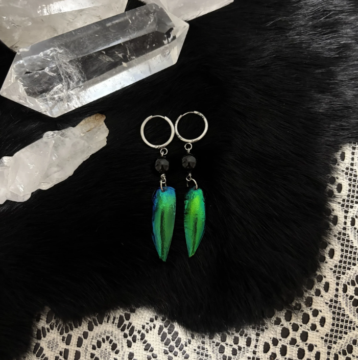 Elytra Wing Earrings