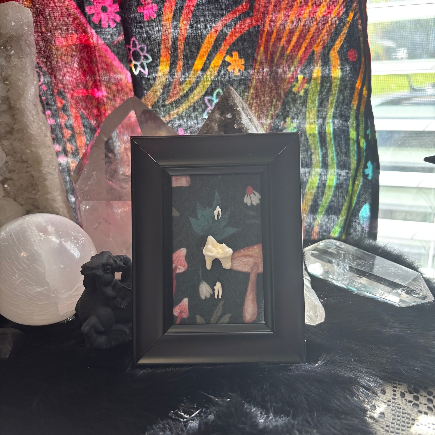 Mini Tooth Display