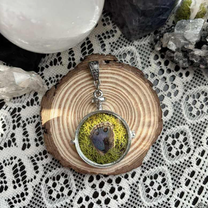 Lg Curiosity Locket I